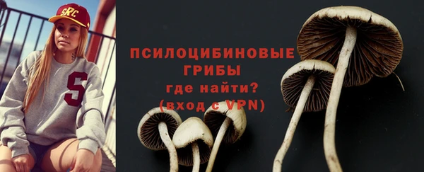 стафф Баксан