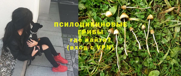 стафф Баксан