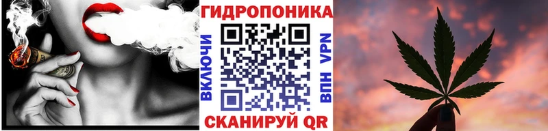 Бошки марихуана семена Буйнакск